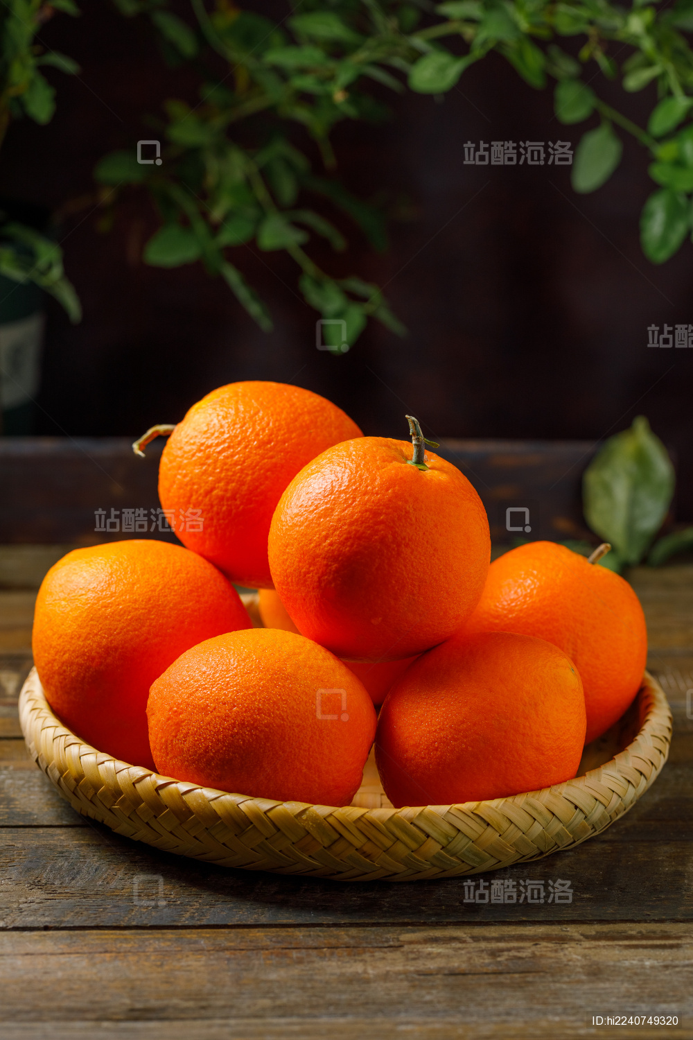 放在木桌竹筐里的多个新鲜四川凉山雷波脐橙