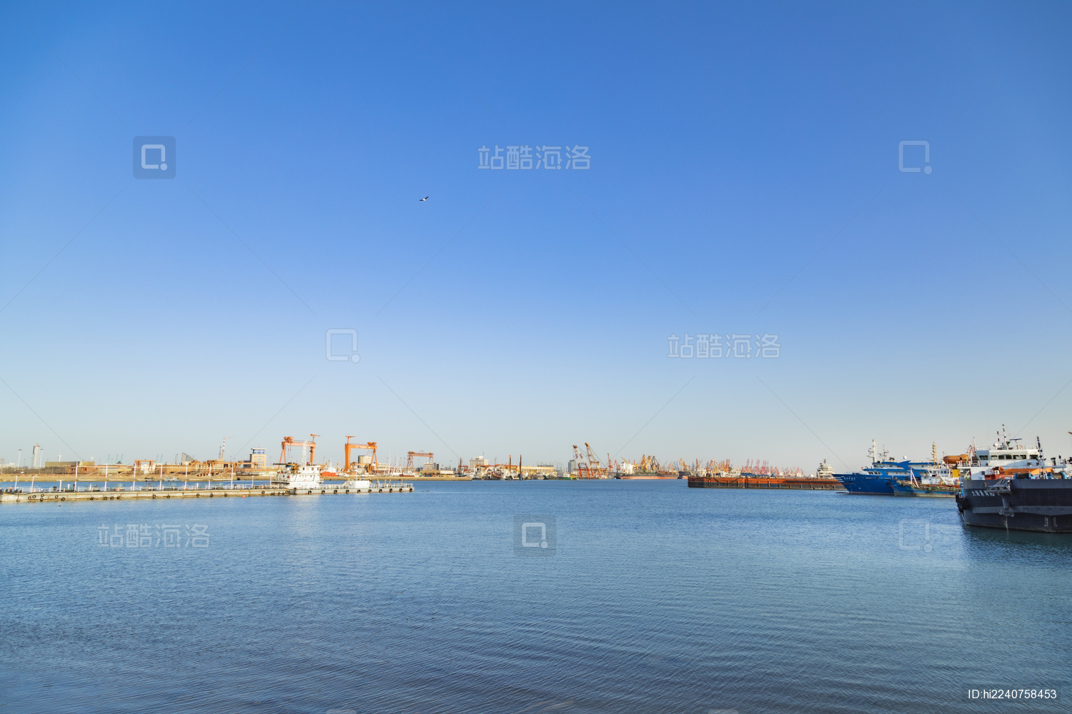 中国天津滨海新区天津港港口码头货运风光