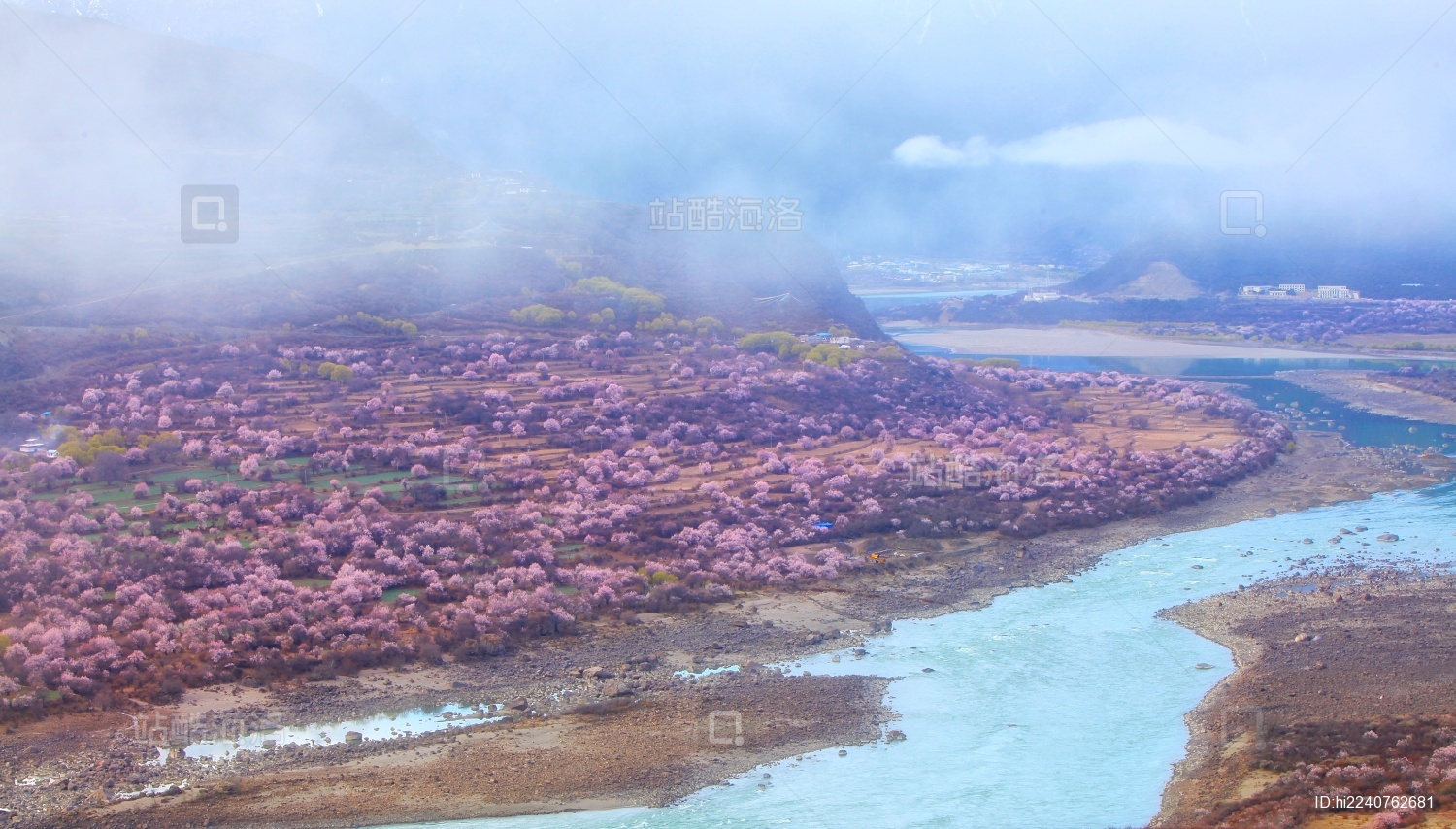 中国西藏林芝索松村桃花