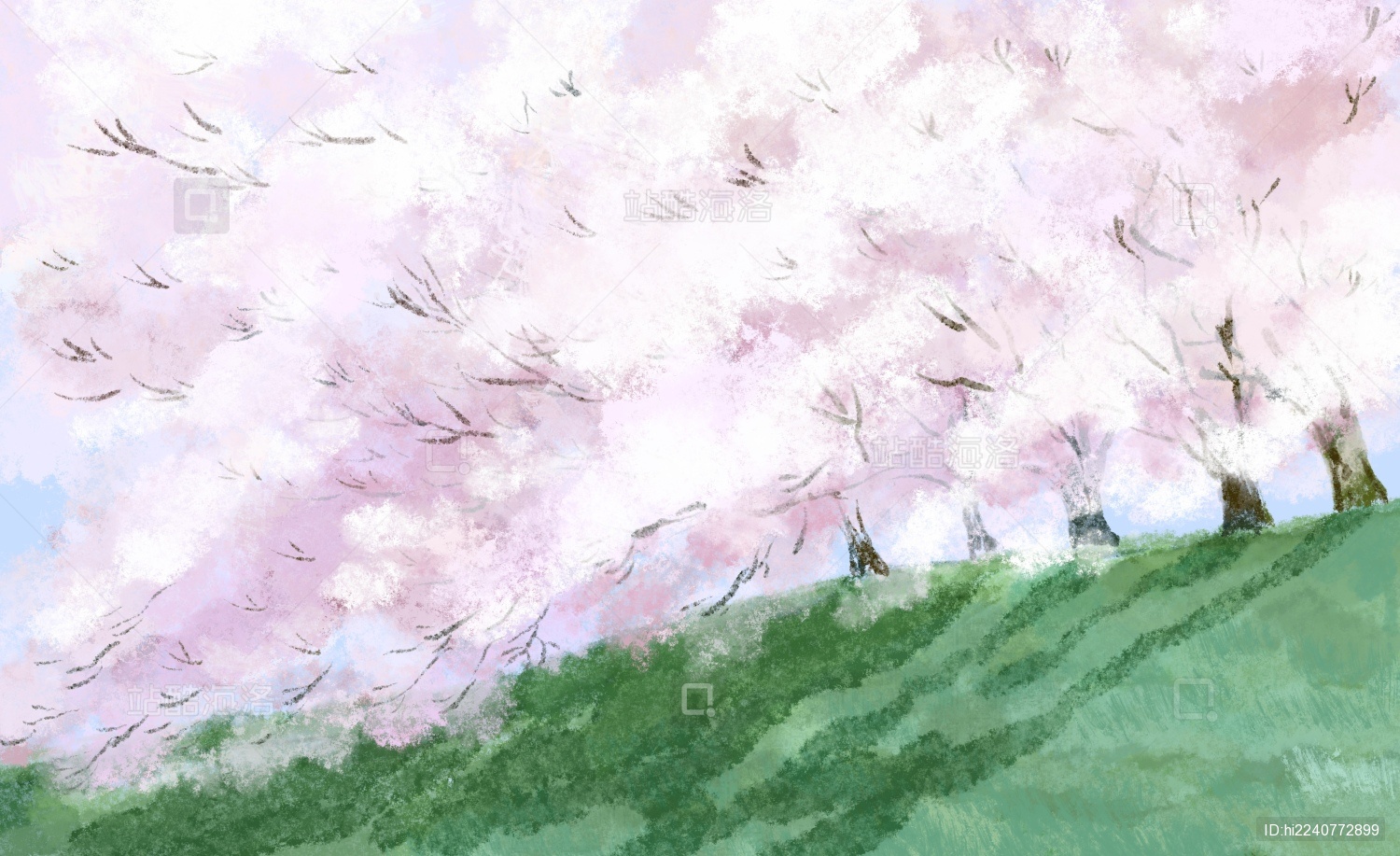 手绘春日里美丽的樱花树盛开