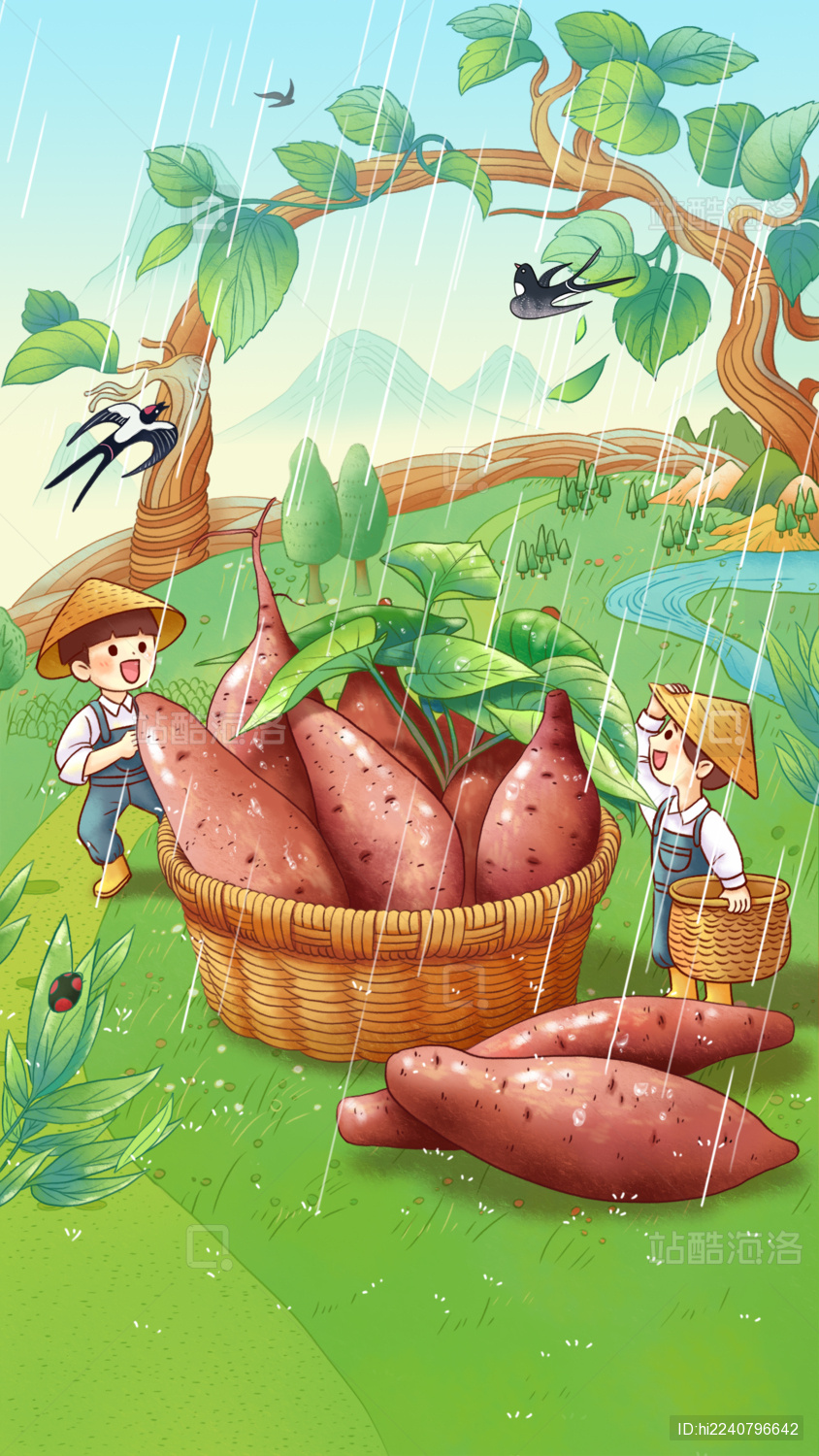 春分谷雨惊蛰节气节日务农摘红薯农作物