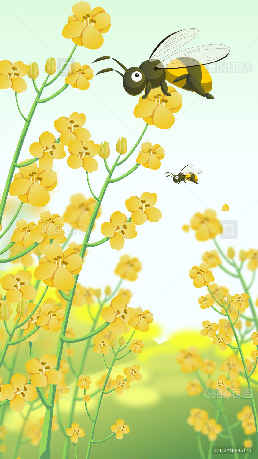 春分二十四节气油菜花蜜蜂矢量插画