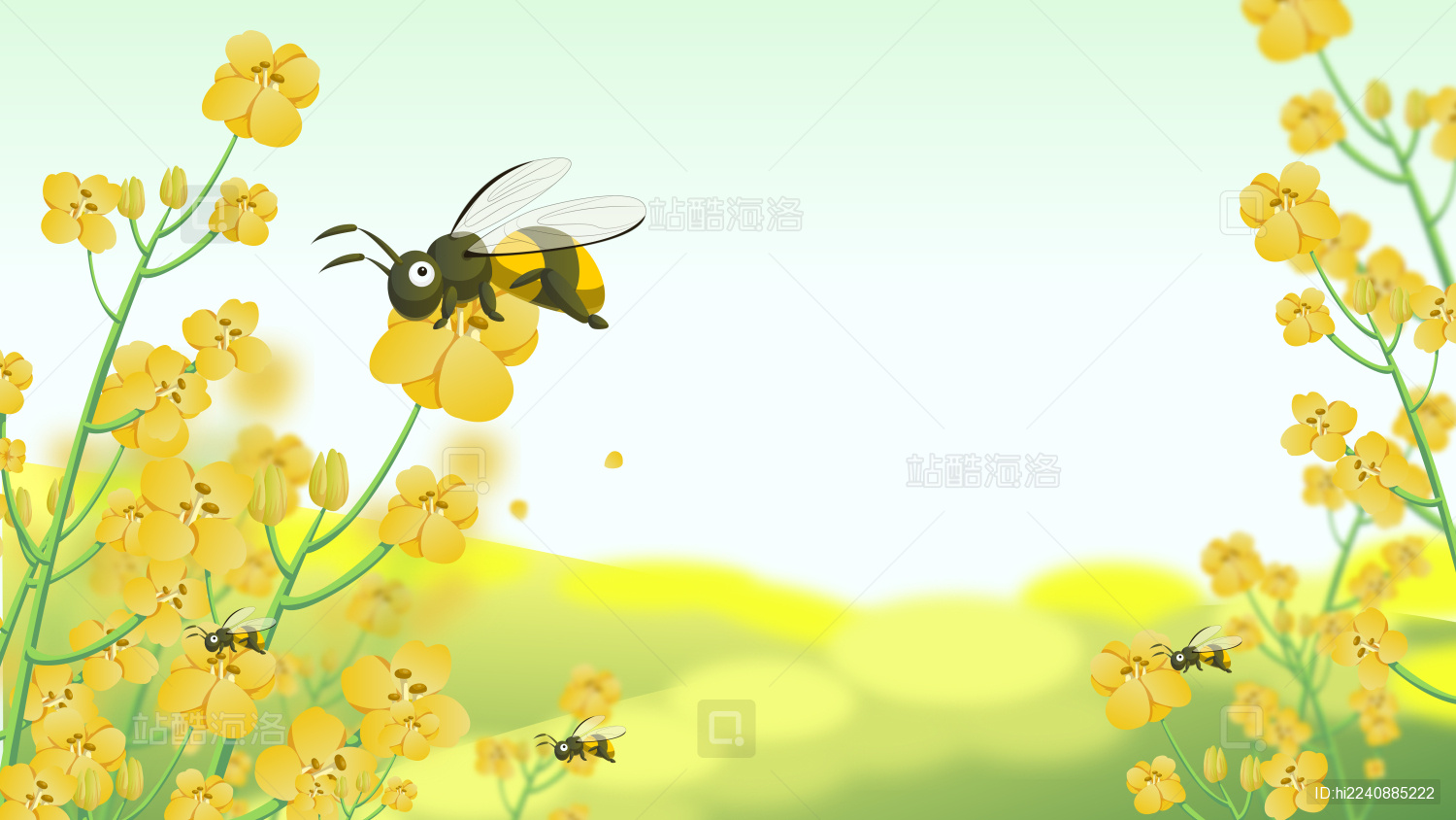 油菜花春天惊蛰春分二十四节气蜜蜂矢量插画