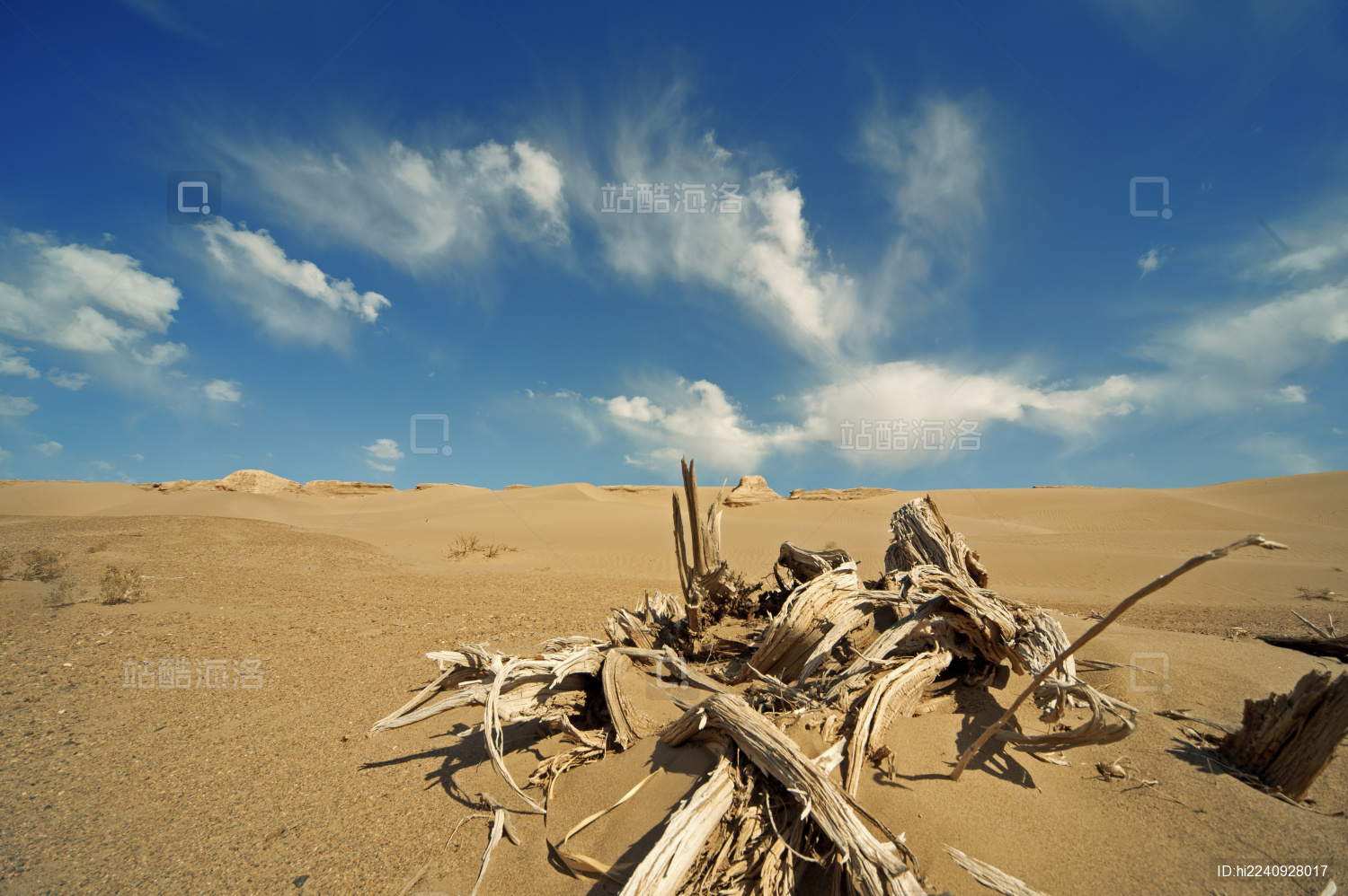 内蒙古额济纳旗胡杨林无人区沙漠公路