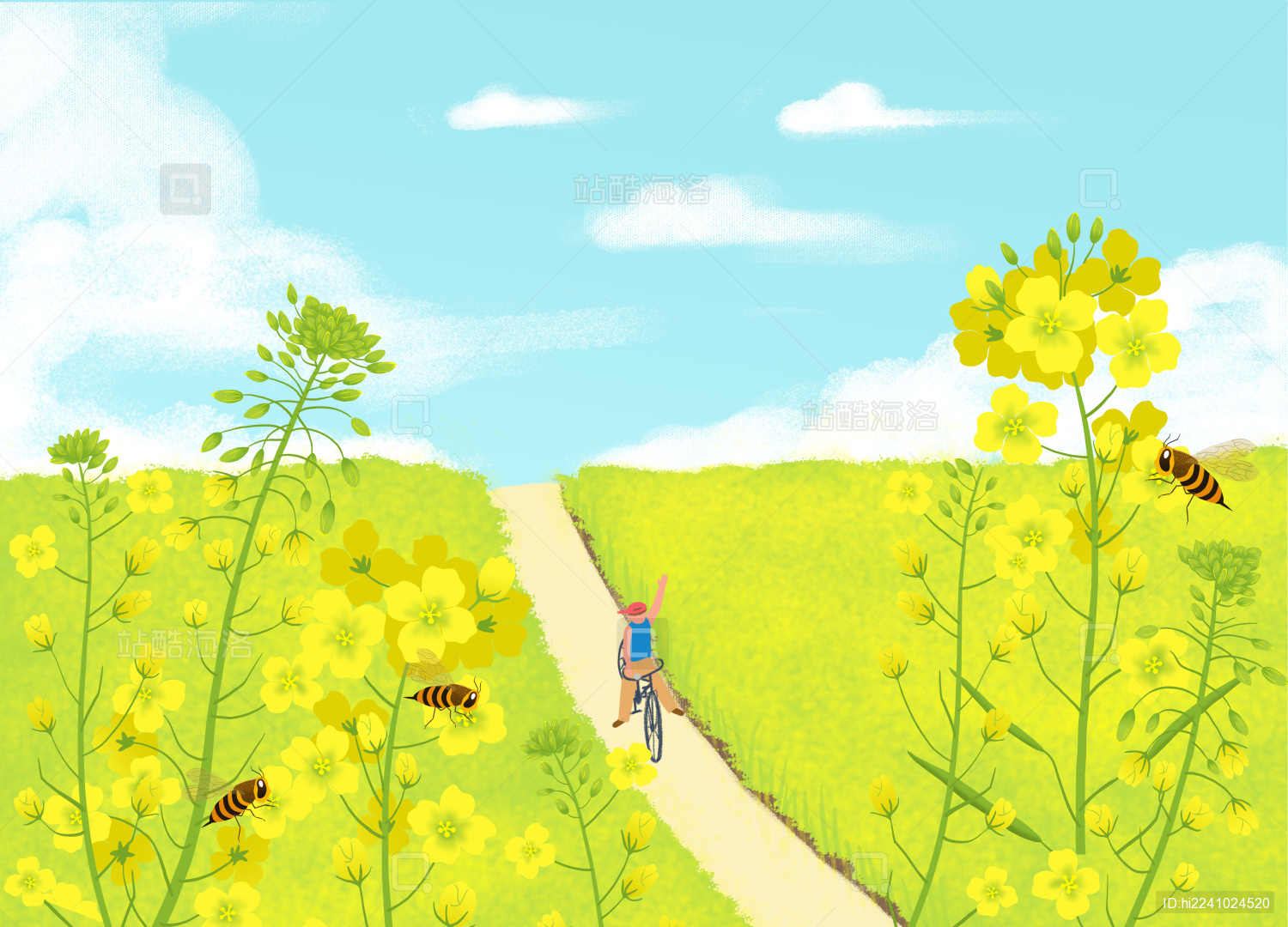 春天油菜花田乡村小路骑自行车插画海报