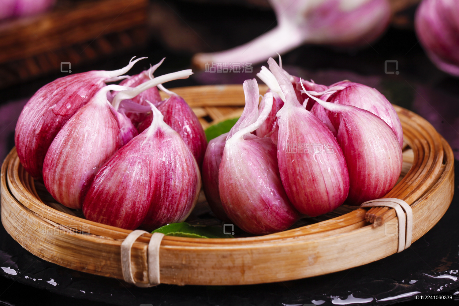 Amazon.com : Fresh Garlic Bulbs Gifts Planting Simple to Grow Pots ...
