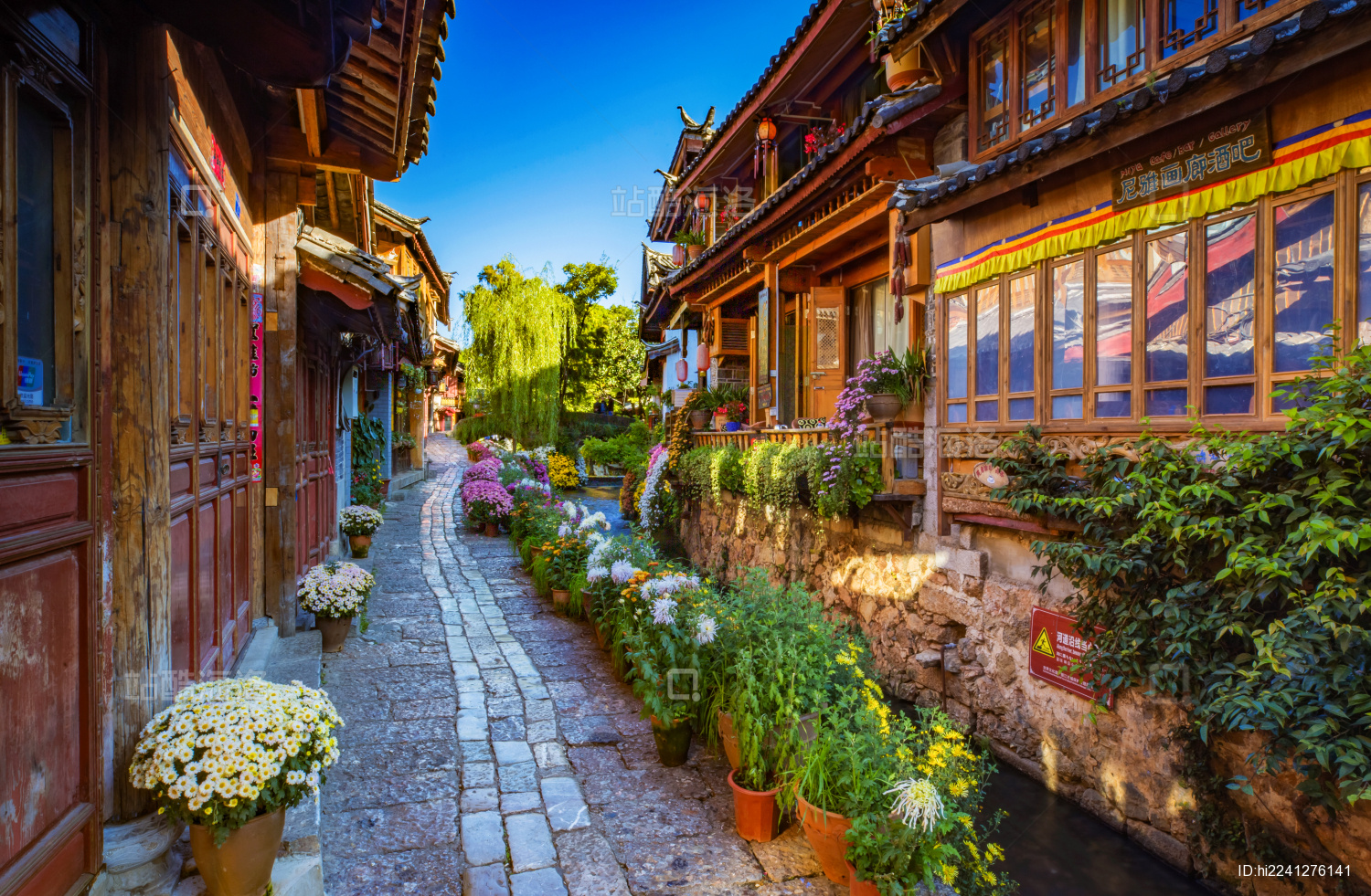 中国云南丽江古城街道花卉