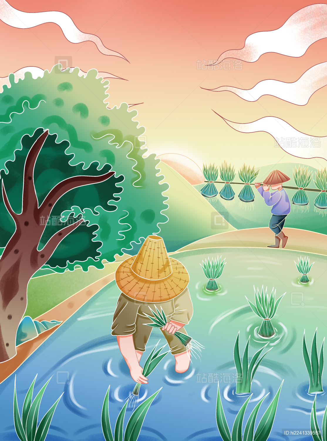 芒种节气农民在田地里插秧