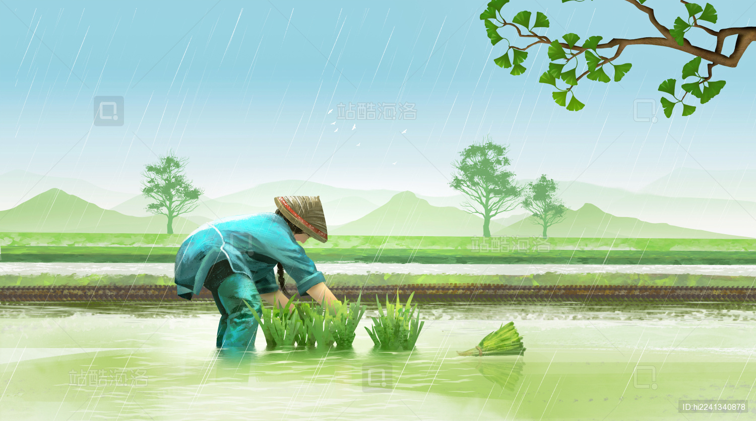 农民在田野上插秧种稻