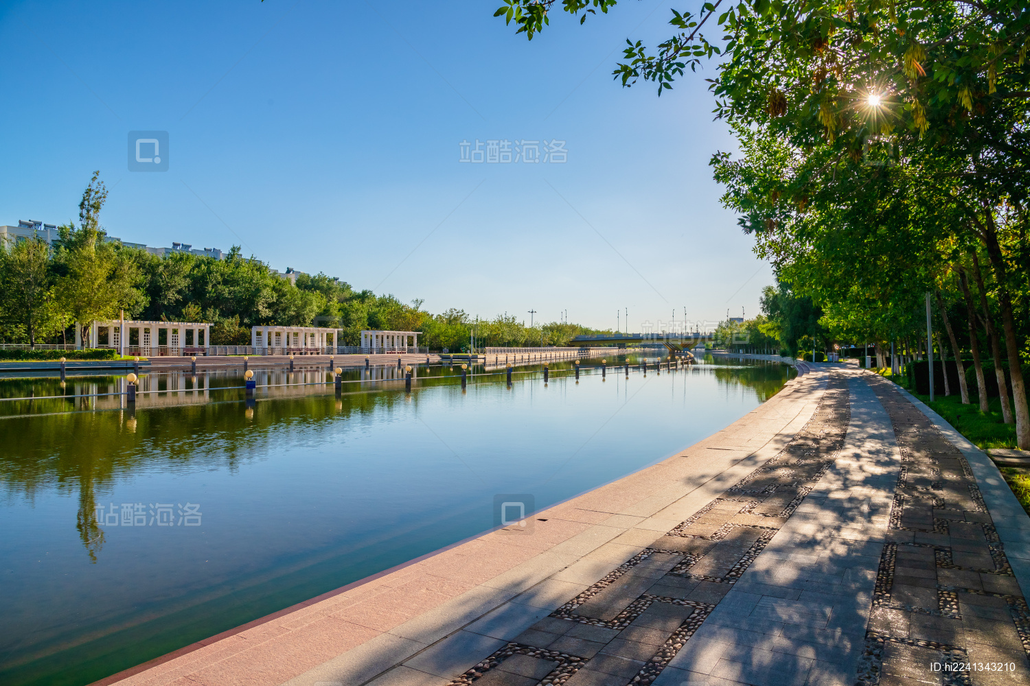 中国新疆克拉玛依河城市绿荫徒步道健身江滨