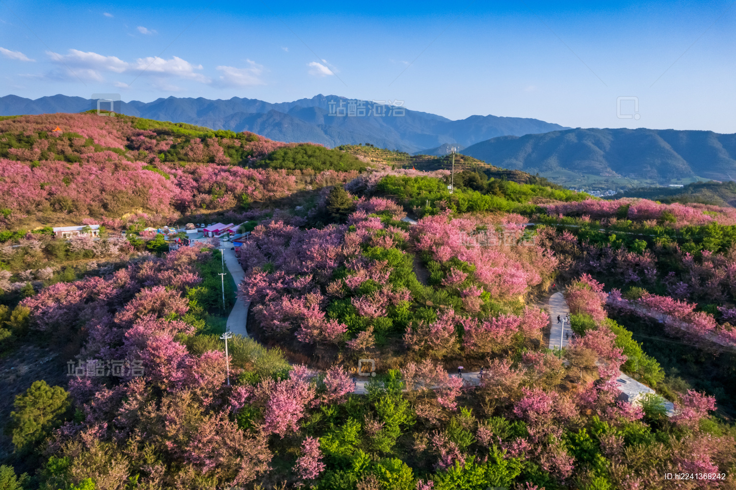 中国福建省清流县赖坊樱花园航拍