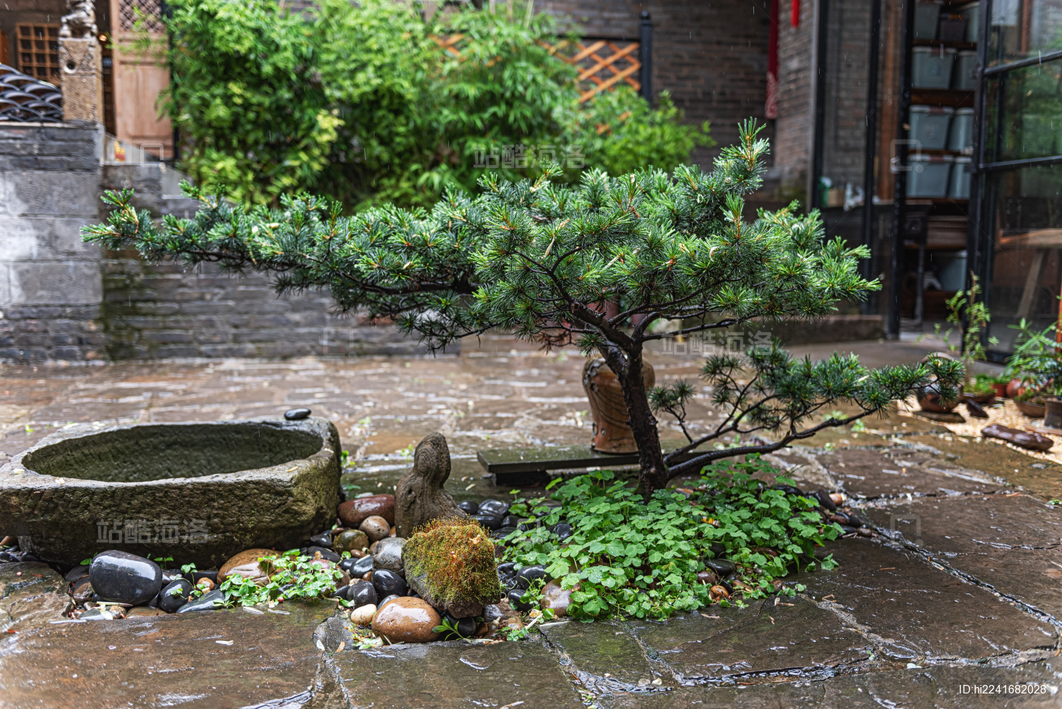 庭院盆栽景观设计