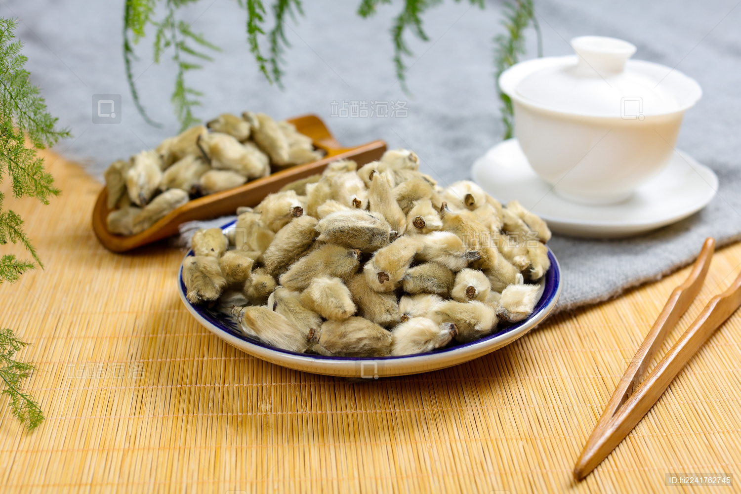 中国传统医学中医药材辛夷花