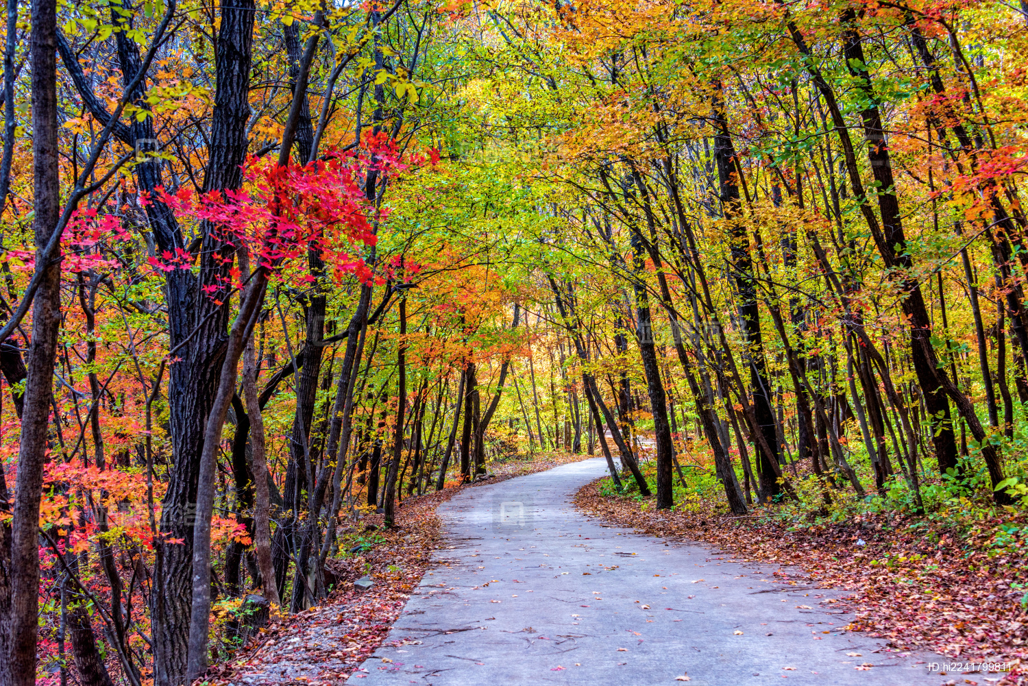 中国辽宁丹东蒲石河森林公园