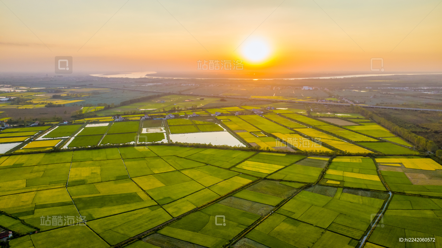 武汉江夏区法泗镇夕阳下的大片稻田