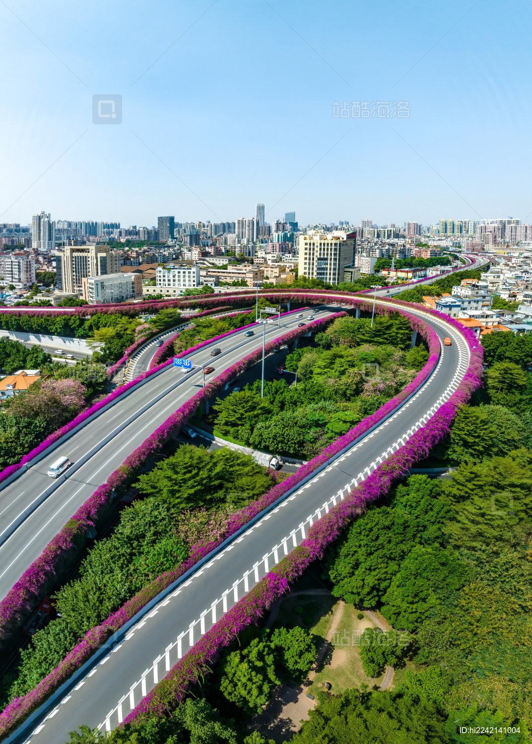 中国广东省广州市东晓南立交三角梅