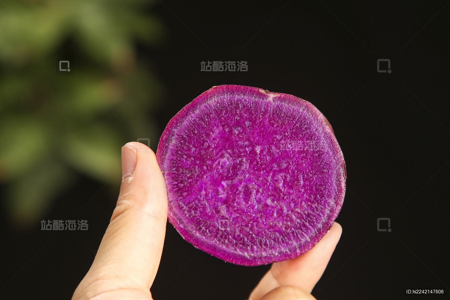 深底上的紫心番薯