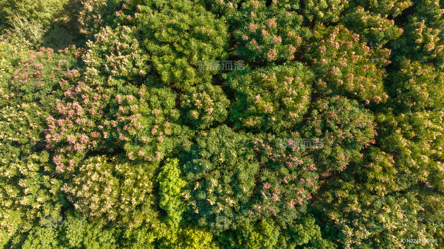 武汉园博园里的景观小品设计