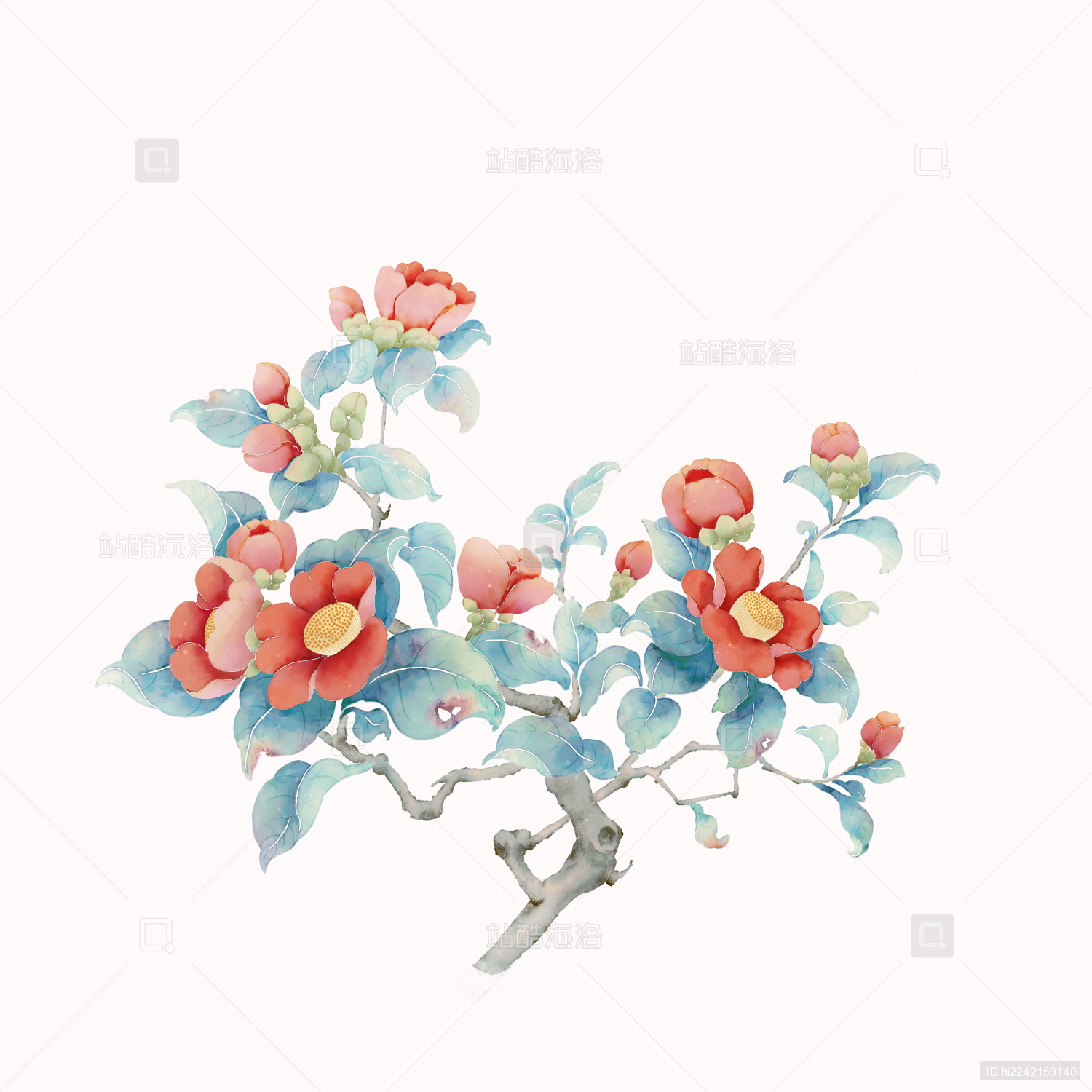 山茶花红花植物国画水彩工笔