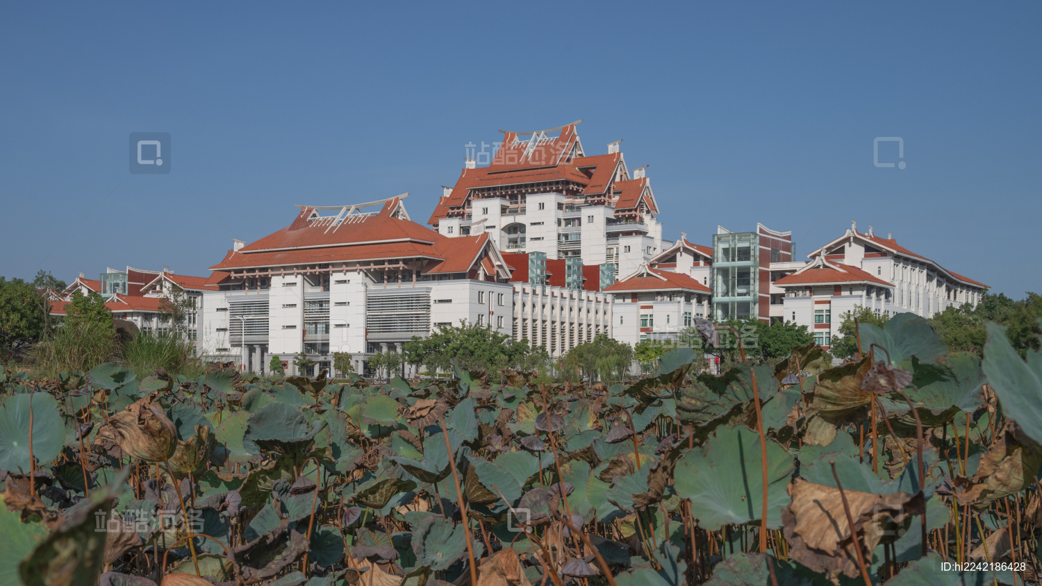 厦门大学漳州校区校园风光