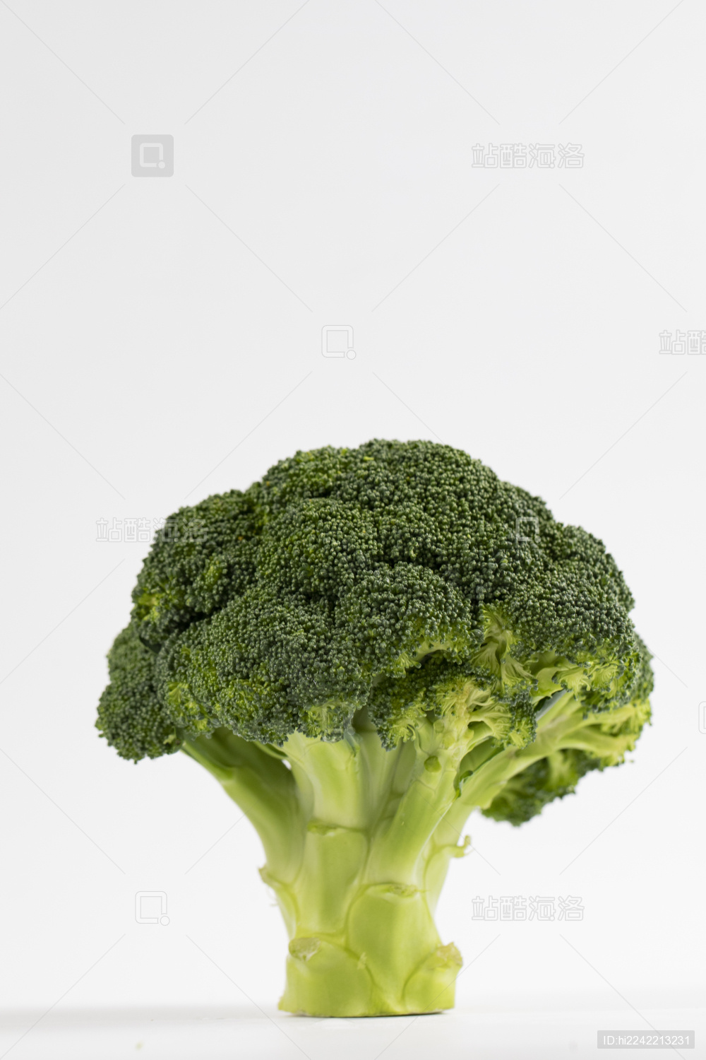 西兰花特写白底图_站酷海洛_正版图片_视频_字体_音乐素材交易平台