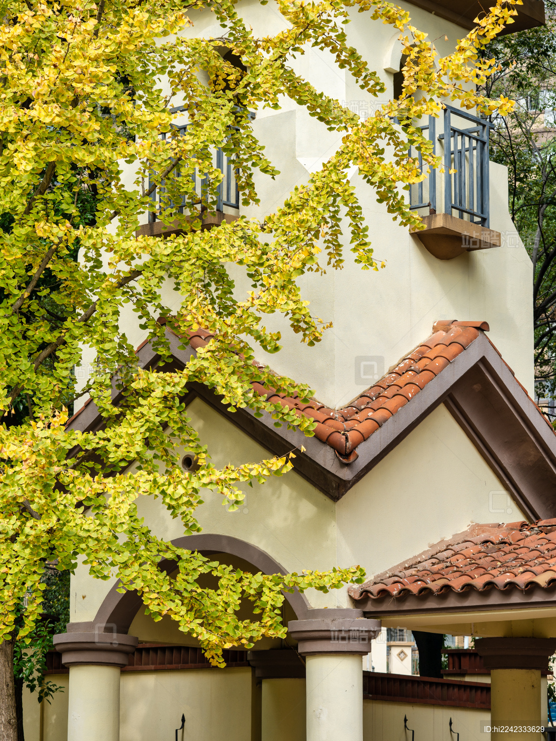 居民小区里的景观