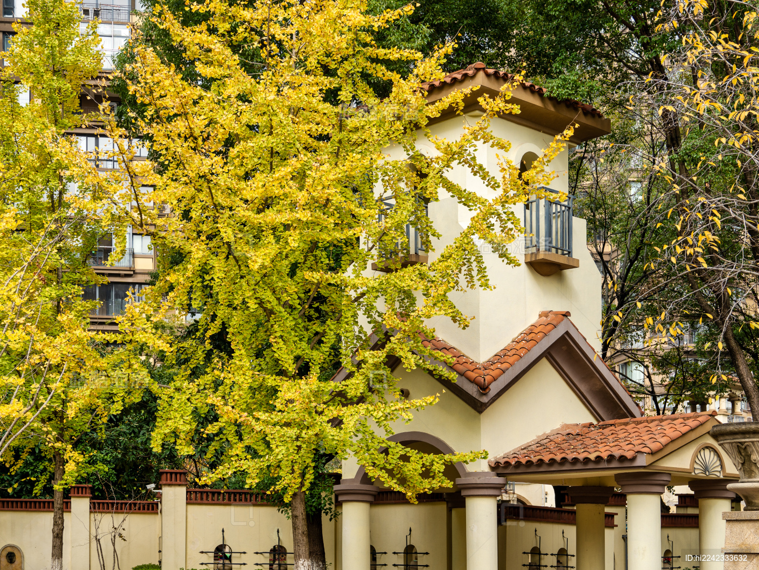 居民小区里的景观