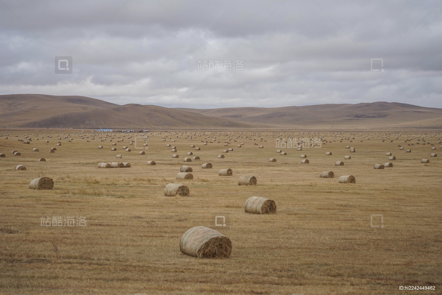 内蒙古呼伦贝尔大草原莫尔格勒河草垛风光