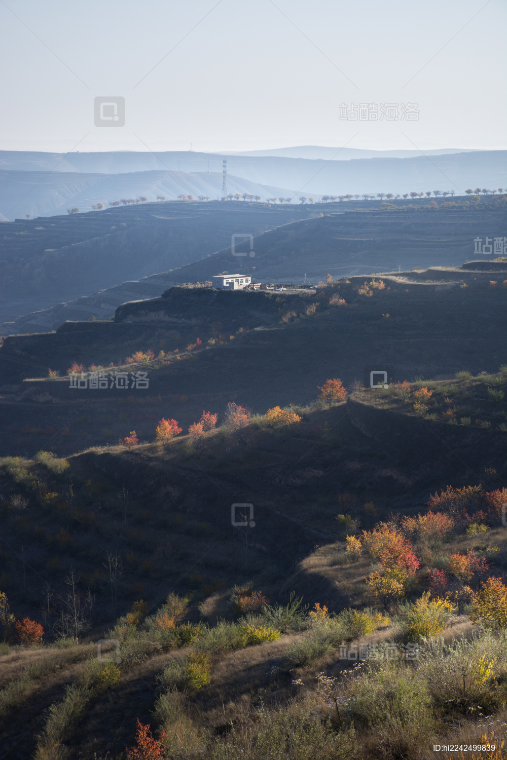 中国西部甘肃定西山区秋天早上自然风光