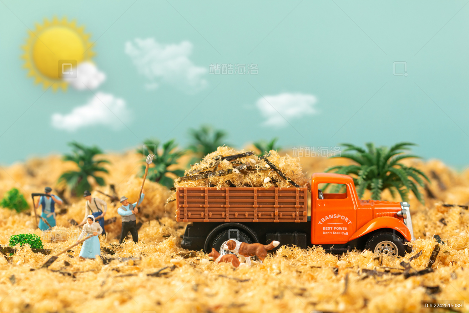 微距摄影收获的秋天