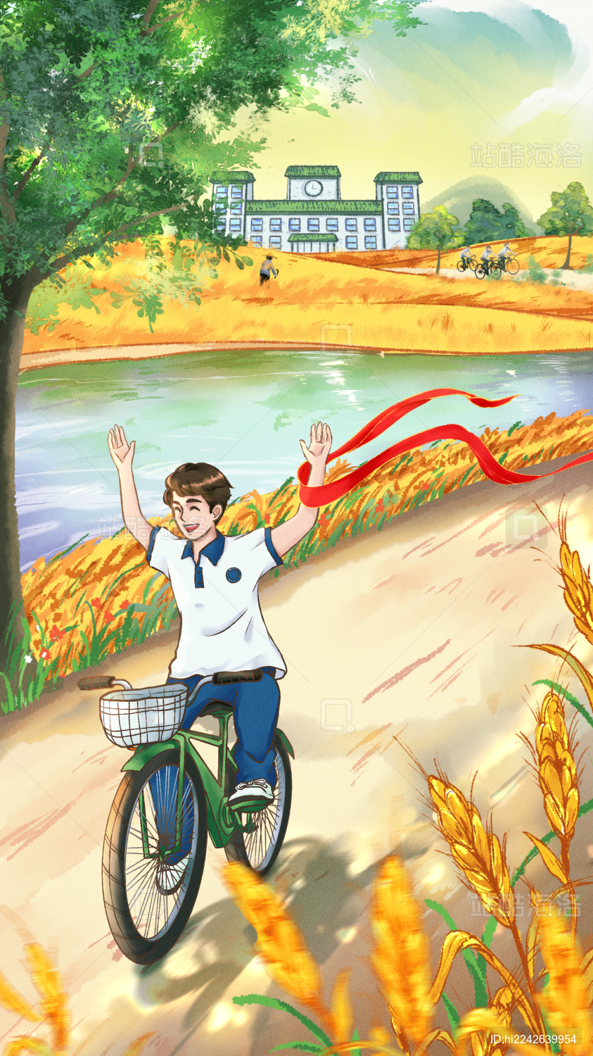 芒种高考生骑自行车穿过麦田