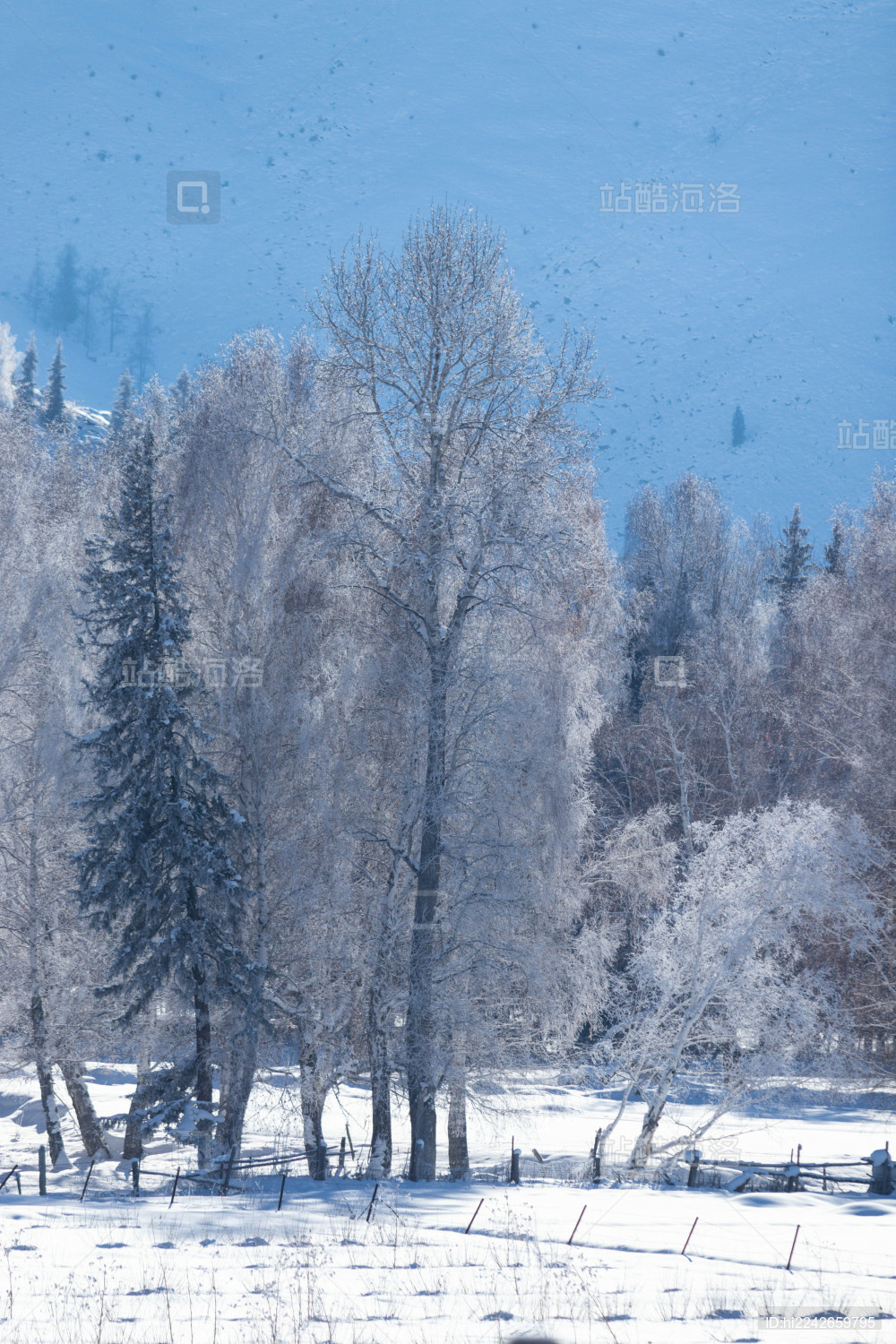 中国新疆阿勒泰额尔齐斯河第一村冬季雪景