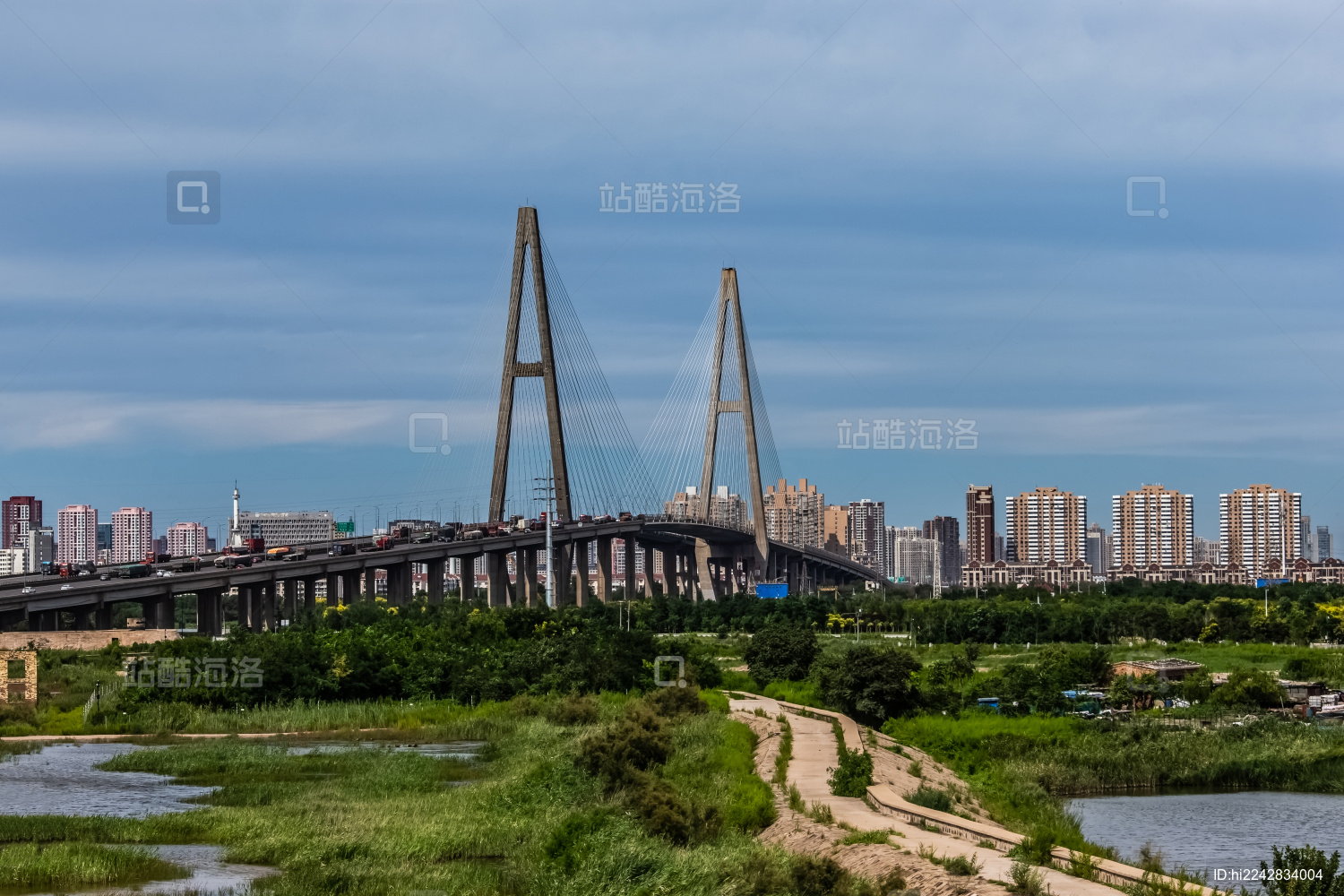 天津市滨海新区滨海大道斜拉索大桥建筑