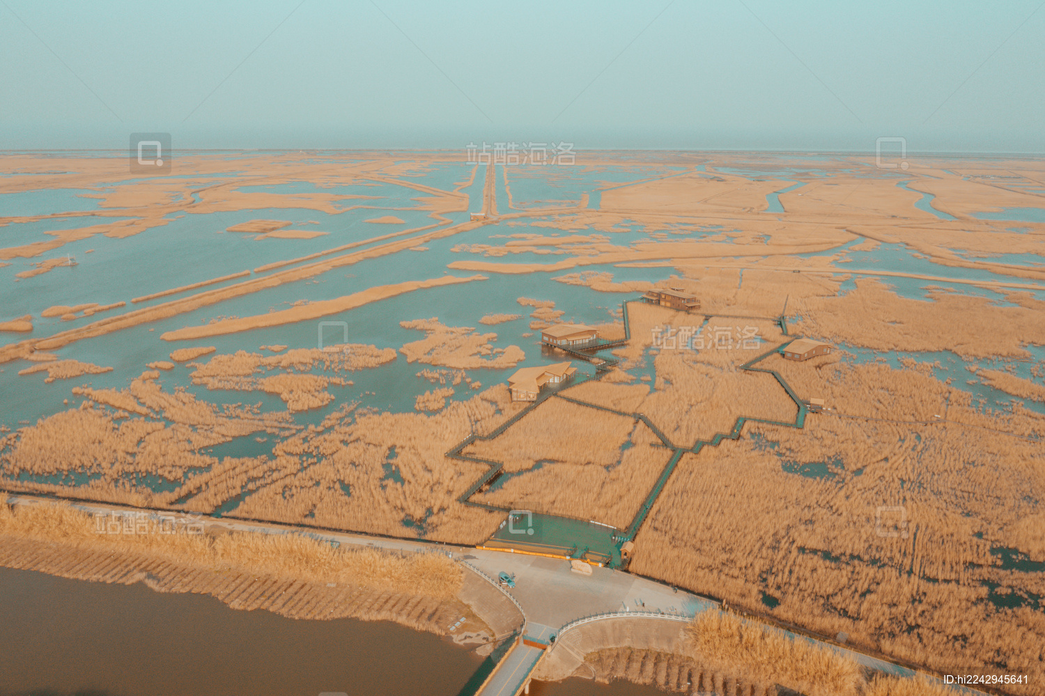 芦苇荡湿地公园