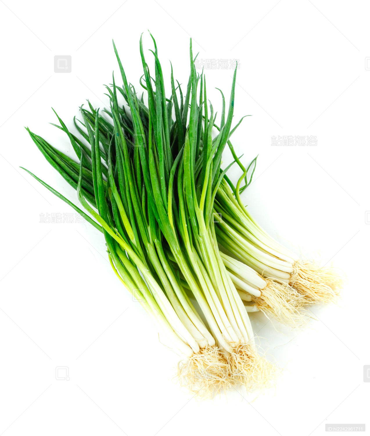 站酷海洛_正版图片_视频_字体_音乐素材交易平台_站酷旗