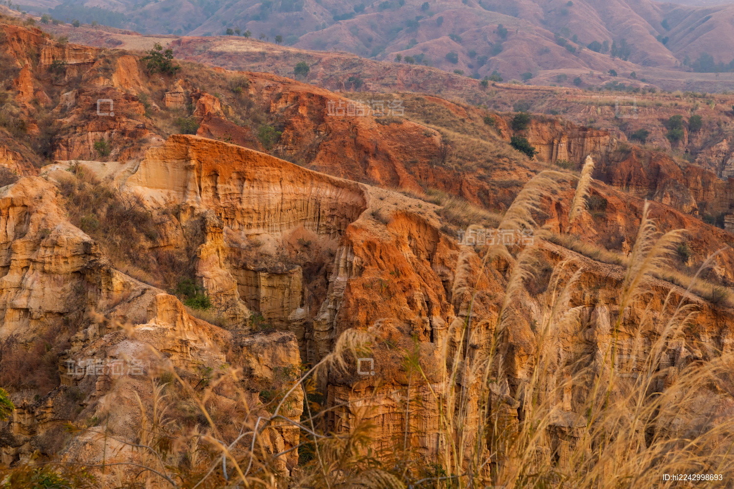 云南楚雄元谋土林