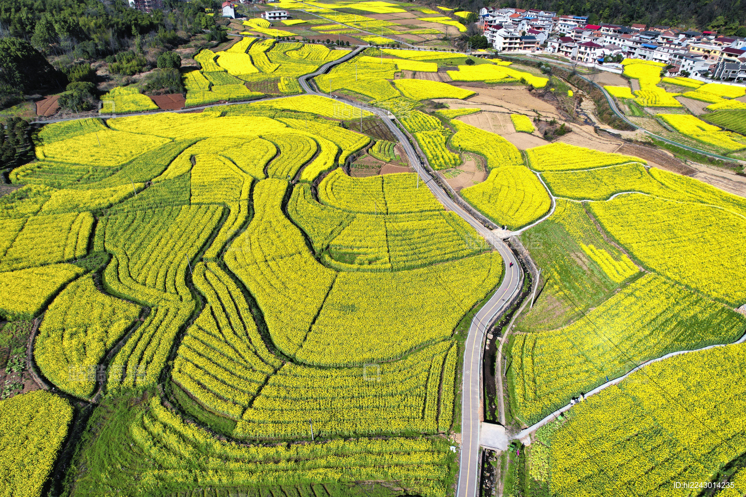 航拍咸宁咸安区大幕乡东源村大面积油菜花海
