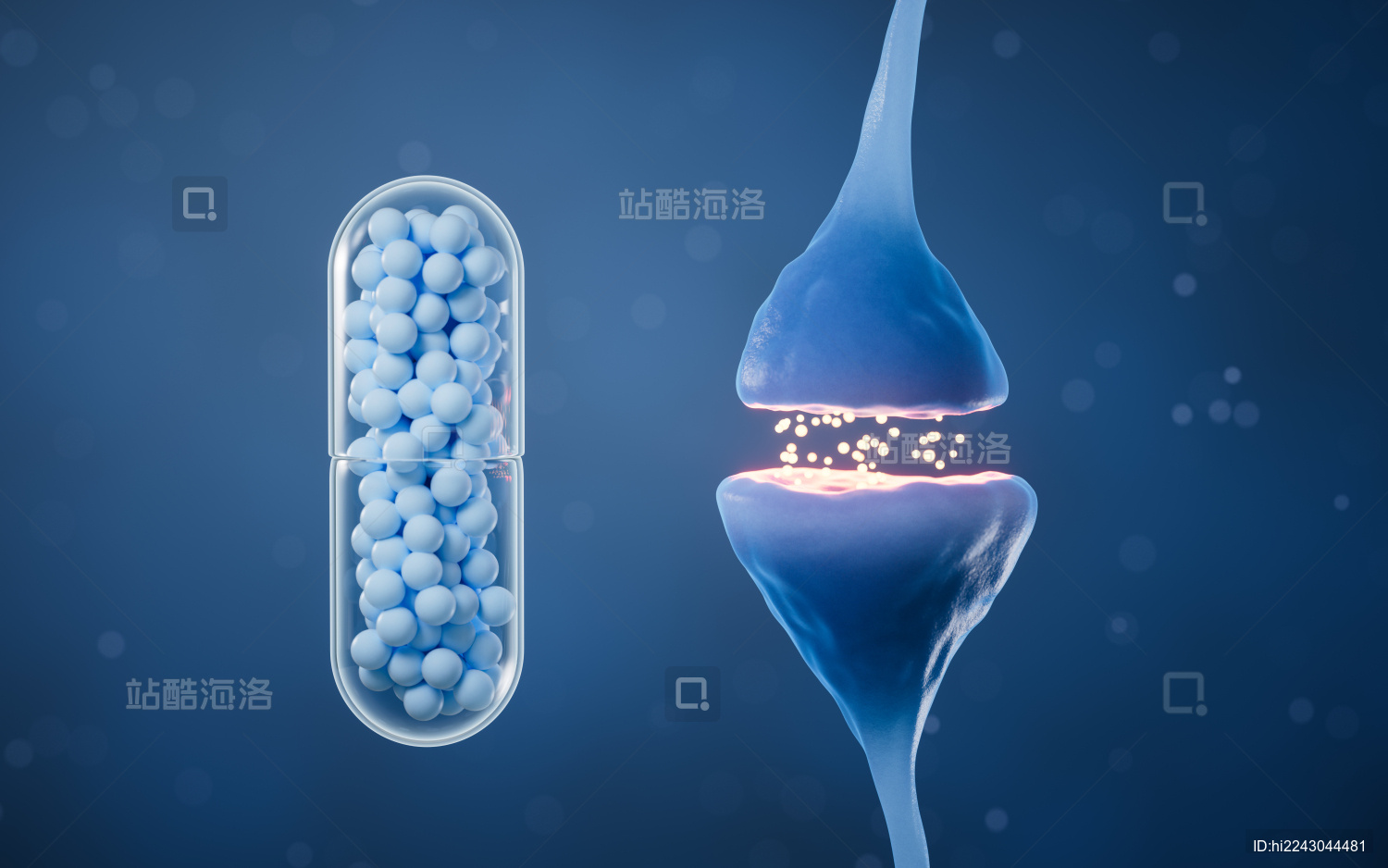 神经元细胞突触与胶囊3D渲染