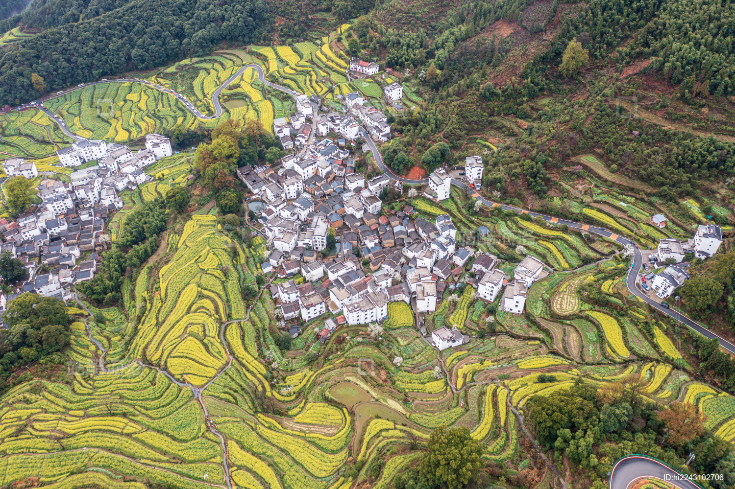 航拍中国江西婺源江岭油菜花云海