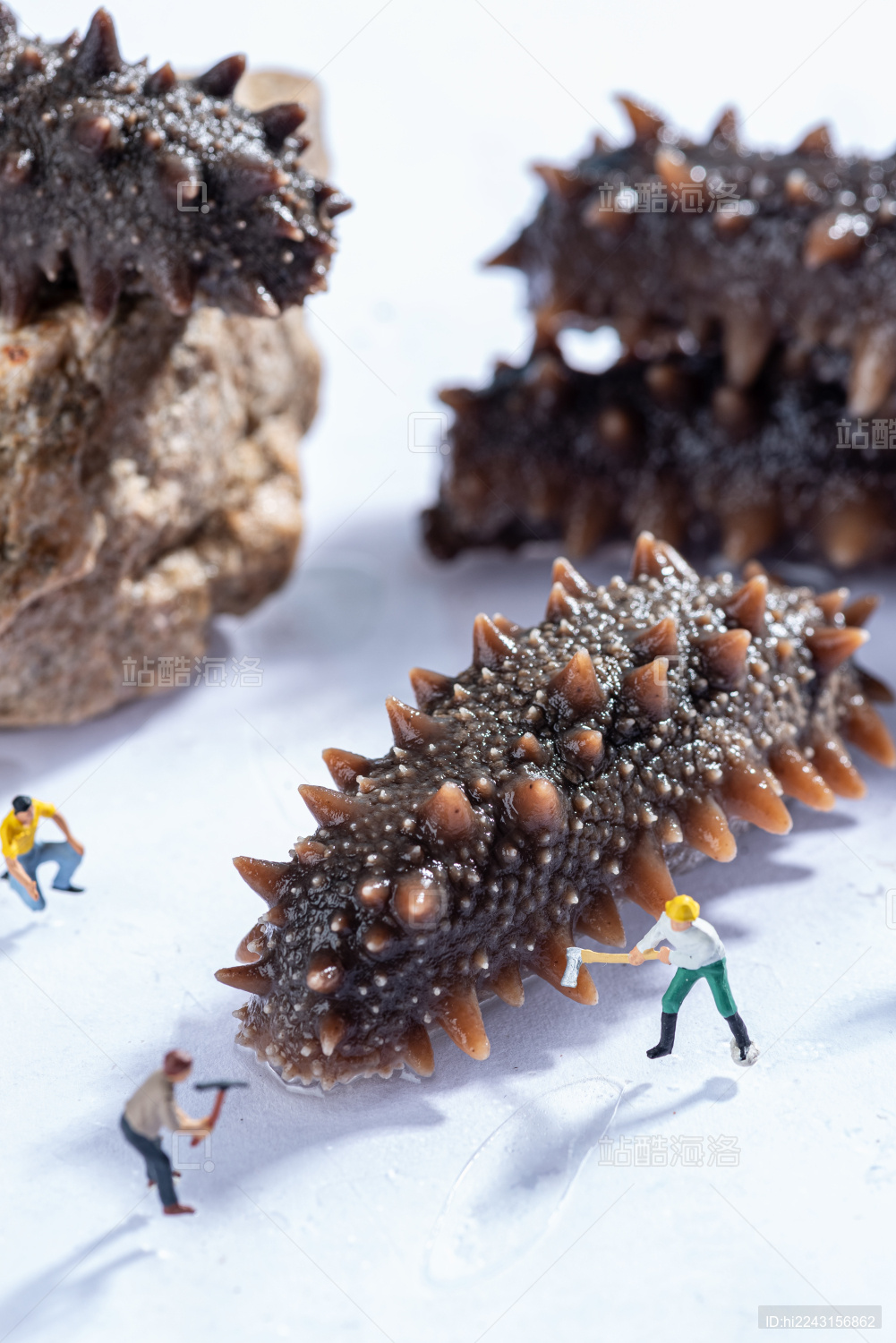 微缩小人海参创意拍摄