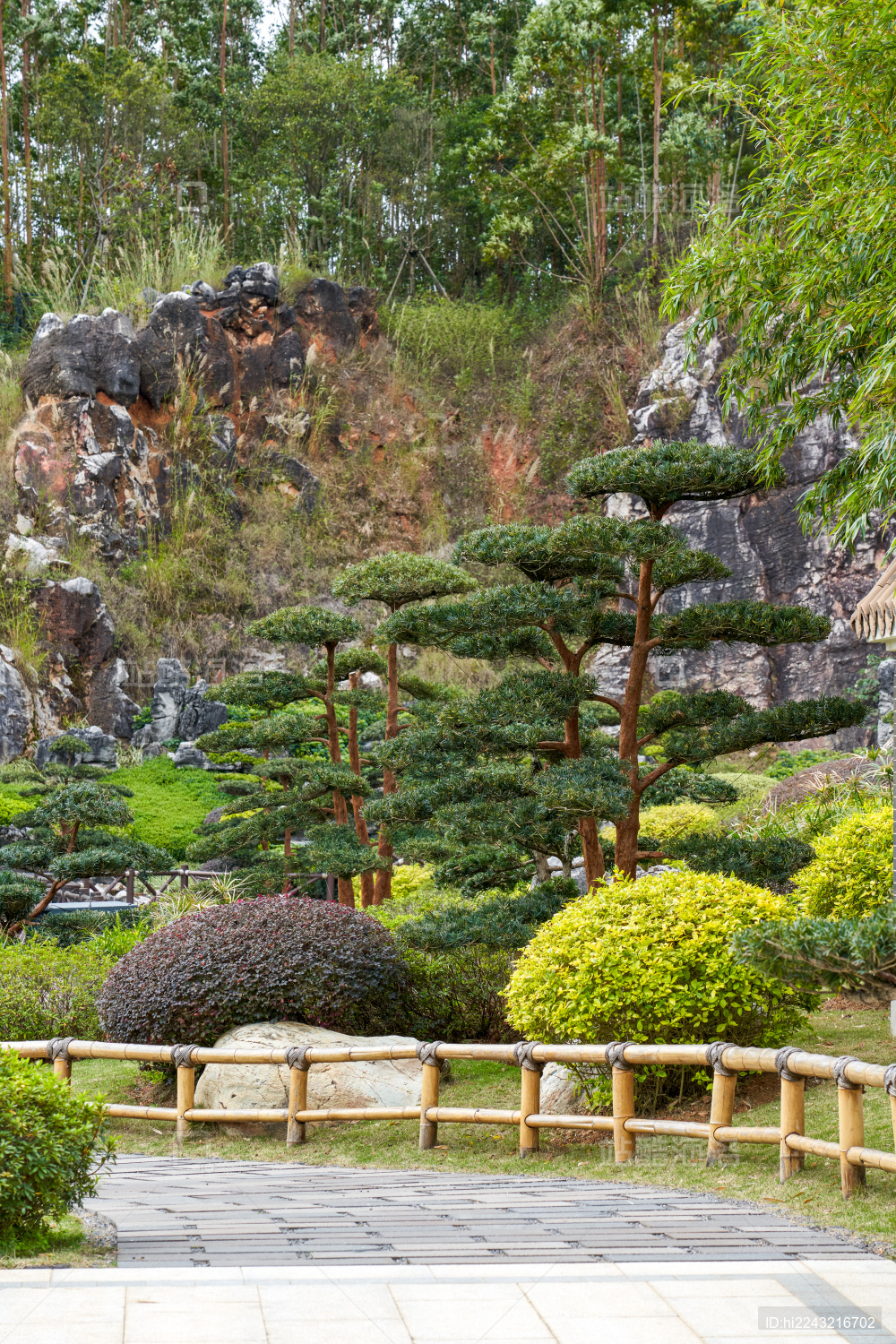 美丽的日式花园里的植物和置景