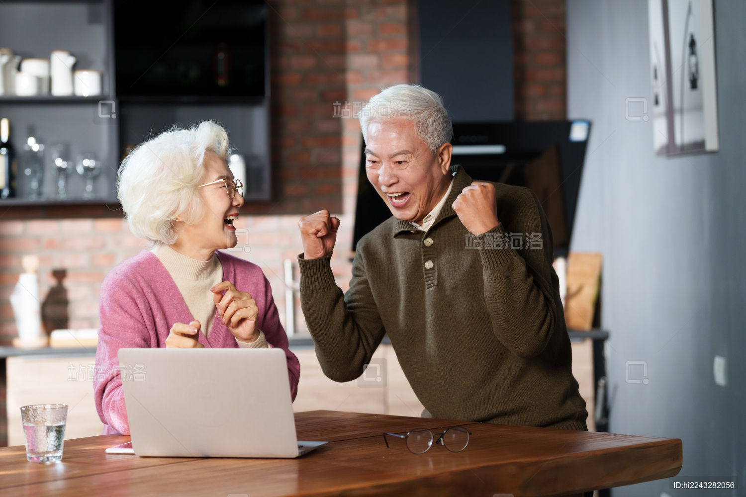 老年夫妇在家使用笔记本电脑
