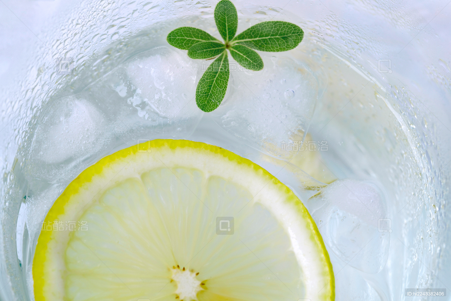 内俯视有冰块绿色叶片的水中柠檬片局部特写