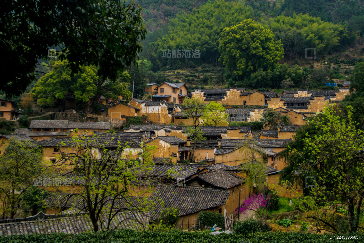 浙江丽水松阳县杨家堂村