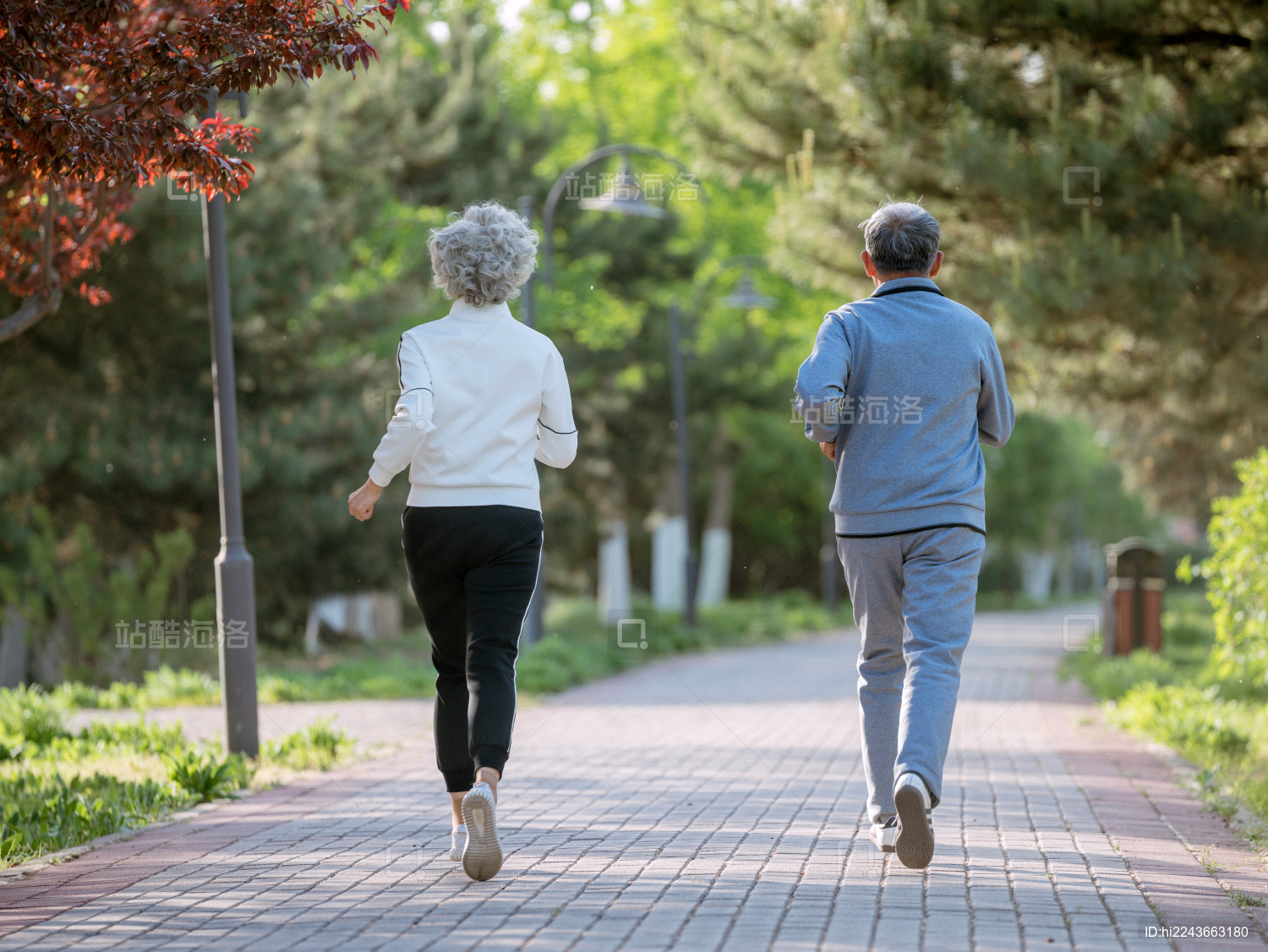 老年夫妇在公园跑步