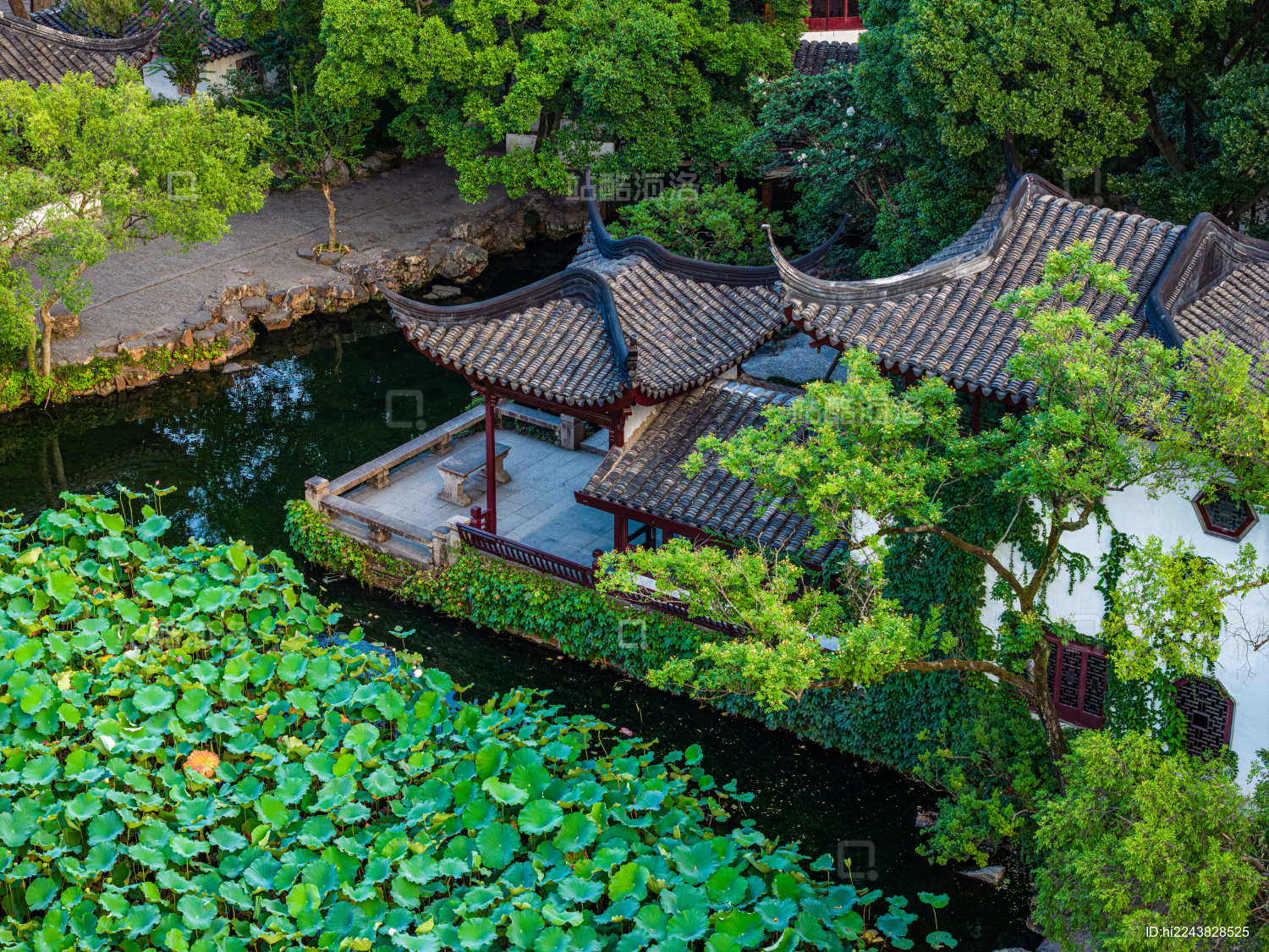 中国江苏苏州拙政园航拍