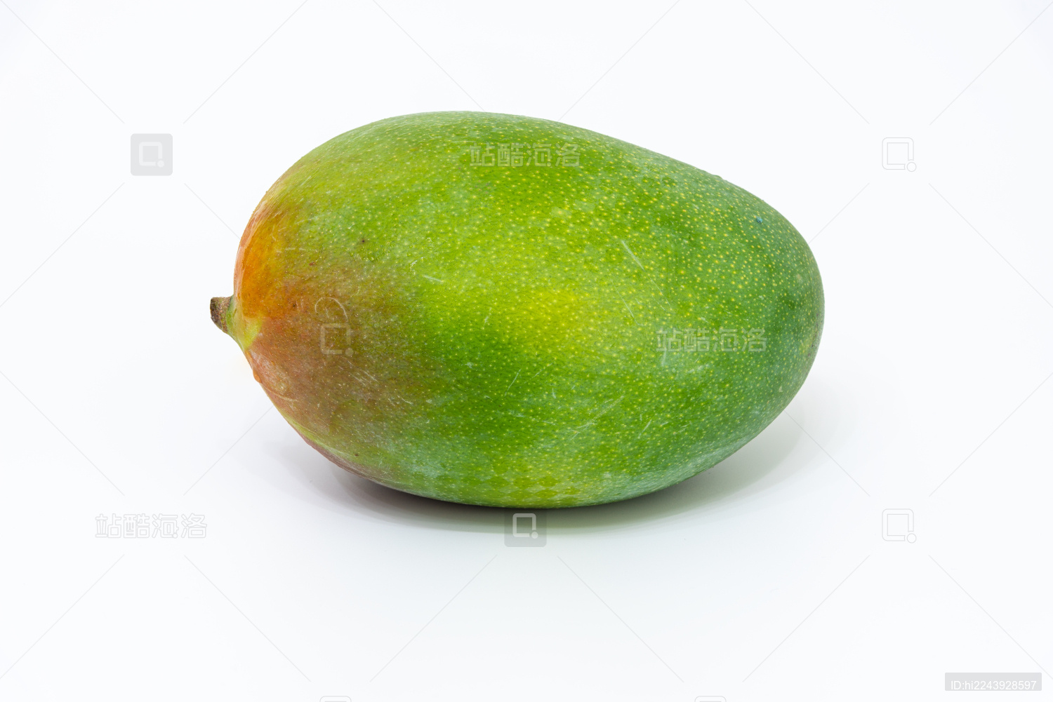 白色背景上的一个绿色芒果