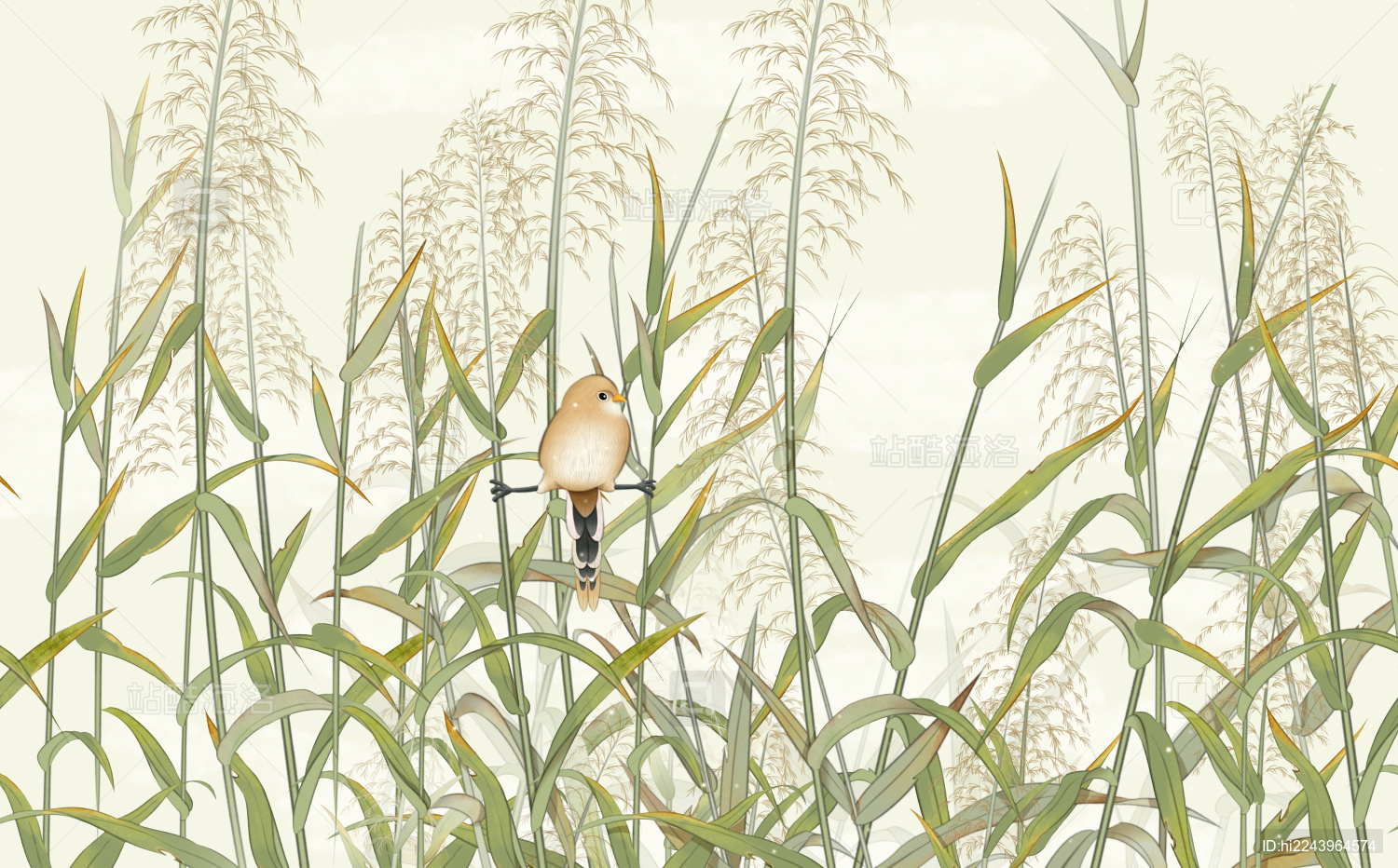 一只可爱的小鸟躲在芦苇荡中