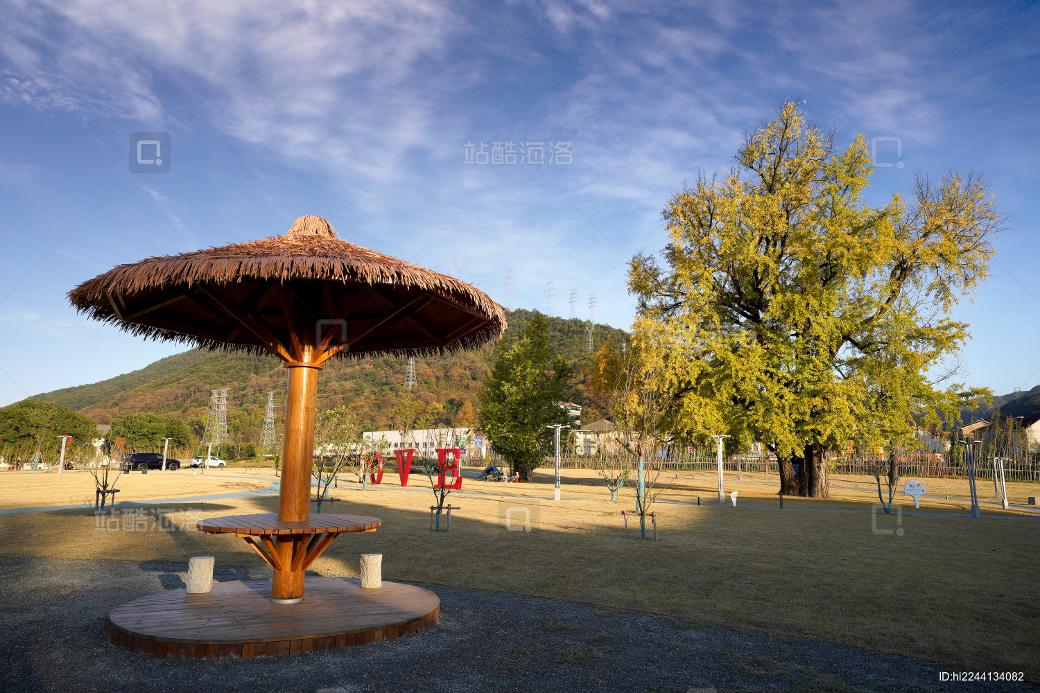 杭州市富阳区受降村千年银杏