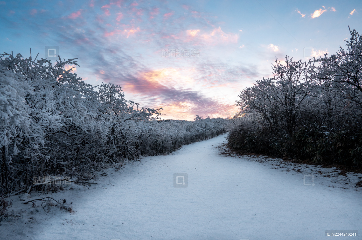 浙江临安龙王山冬季晚霞雪景